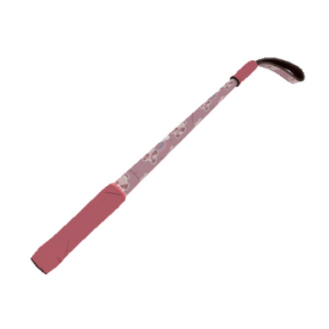 Dream Piped Disciplinary Action