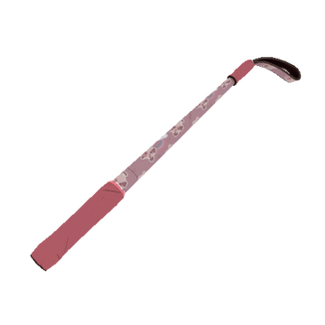 Dream Piped Disciplinary Action