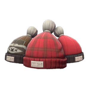 Boarder's Beanie
