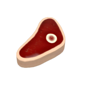 Collector's Buffalo Steak Sandvich